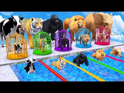 Animals Choose The Right Key With Cow Mammoth Elephant Gorilla Lion Tiger Wild Animals Matching Game