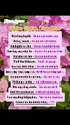 Hey better at English by learning these simple Phrases | Janes Lessons