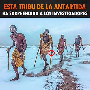 406K views · 9.6K reactions | Esta Tribu de la Antártida ha Sorprendido a los Investigadores | ¿Qué fue de? | Facebook