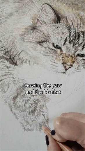 Realistic Cat Portrait Drawing – Part 2 | Colored Pencil Fur & Final Details