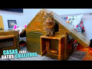 HOUSES FOR STREET CATS