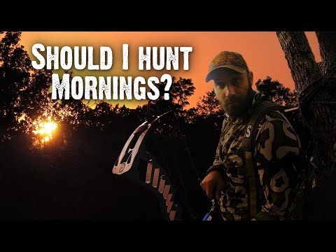 How to Hunt Your Property in the Morning (835)