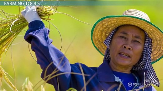 Farming in Ancient China: Lesson for Kids