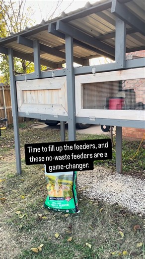 Eric & Melissa | Raising Coturnix Quail | Farmsteader Rookies on Instagram: "It is time to get the quail feeders filled up, and these no-waste feeder ports are game-changers. They help reduce feed waste, which in turn helps keep feed costs down. #backyardfarming #quail #urbanhomestead #feeding #homesteading"