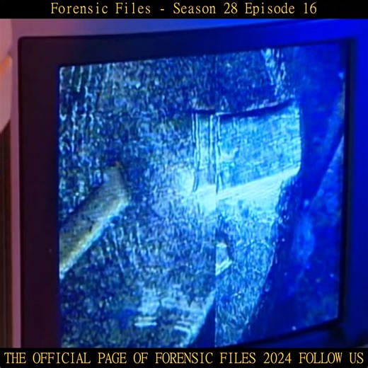 26K views · 223 reactions | Forensic Files 2024 on Reels | Facebook