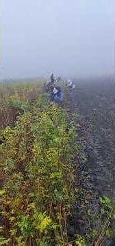 A Légiós csapatomnak !!!