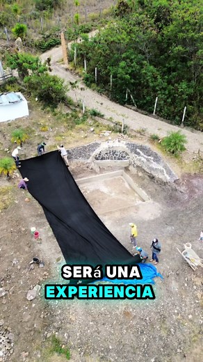 Construir tu propia piscina natural será una experiencia increíble 🌿....
