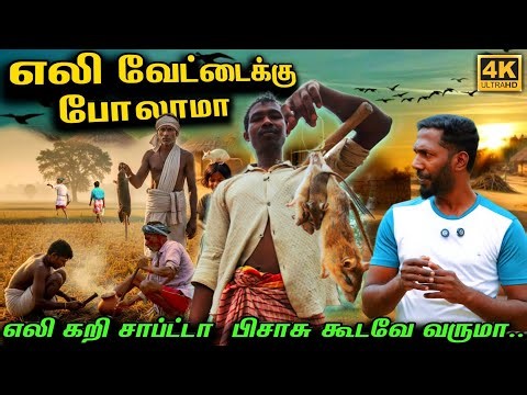எலி கிராமம் தமிழ்நாட்டில் 😧 Rat village in Tamil Nadu #village #culture #different #rat #hunting