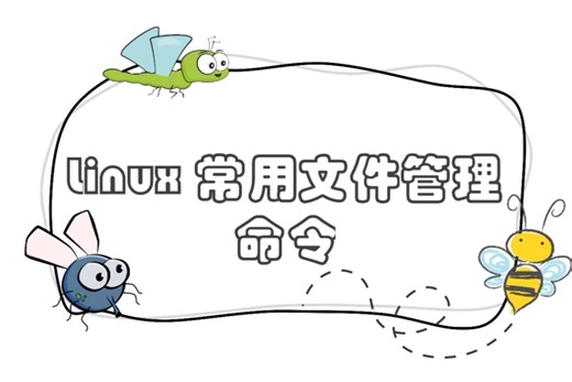 聊城大学数学科学学院数据科学与大数据技术6班李楠(Linux常用文件管理命令1)
