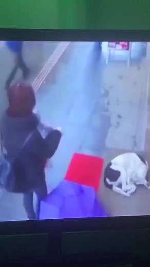 3M views · 145K reactions | Reacting to people showing random acts of kindness 殺 #reaction #randomactsofkindness #showlovegetlove #amazingpeople #fypシ | Love life'a | Facebook