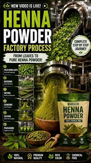 🌿 How Henna Powder Is Made | Complete Henna Powder Factory Process | #shorts
