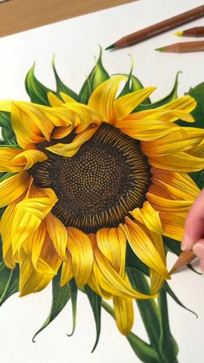 14K views · 302 reactions | Colored pencil drawing by artist...