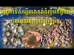 បច្ចេកទេសធ្វើអាងតង់ចិញ្ចឹមកន្ធាយ #អធិរាជសេដ #អធិរាជភូមិភាគឦសាន្ដហុតគឹមហ៊ួរ