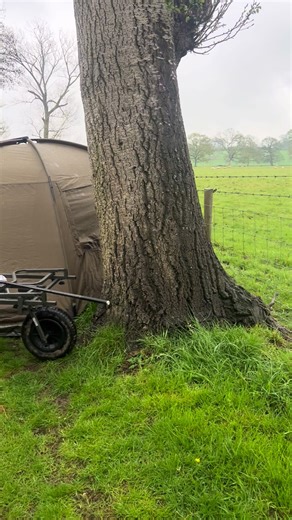 #carpfishing #carpfishingrun #fishingaddict