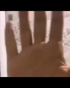 tango live| arab تانجو لایف tango