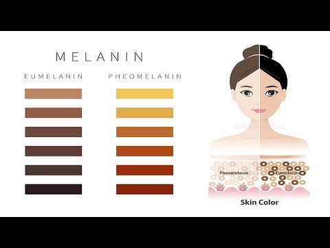 Why Some People Tan & Others Burn | धूप में कुछ लोग काले क्यों पड़ते हैं और कुछ लाल? Melanin Types