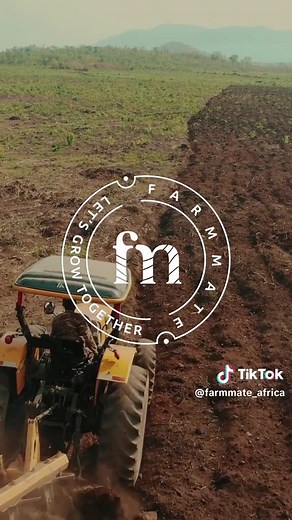 Cultivating Quality Tomatoes in Ghana: Our Journey