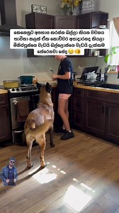 Udaya Gamage on Reels