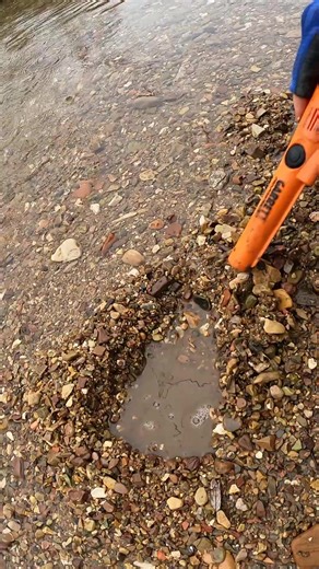 Top Metal Detector Finds: Discover Hidden Treasures