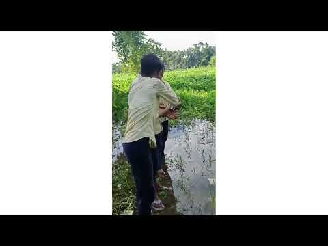 Fieldwork-1 Quadrat method sampling | water quality monitoring Activity -1 & 2.