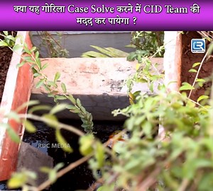 584K views · 23K reactions | क्या यह गोरिला Case Solve करने में CID Team की मदद कर पायेगा ? | C.I.D | सी.आई.डी | Full Episode #CID #सीआईडी #CID2024 #LatestTV #LatestFromTV #CrimeThrillers #CrimeMysteries #Mysteries #Horror #NewCID #Crime #NewCID #latestcid #cid #cidlatestepisode #cidnewepisode #hinditvserial #latestepisode #newepisode #tvserial #hindiserial #hindishow #tvshow | Pocket Film | Facebook