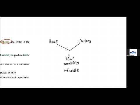 G11 Science | Biosphere | Part I