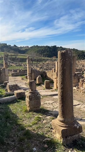 The Roman ruins of Djemila — one of Algeria’s UNESCO World Heritage gems 🇩🇿 Walking its ancient streets, so perfectly preserved it’s easy to imagine daily life in a Roman city. We left no stone unturned before moving on to our next stop: Constantine. #YPT #YoungPioneerTours #Djemila #Algeria #NorthAfrica | Young Pioneer Tours
