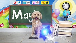 Learning Collection by Brain Candy TV |Vol 1| Learn English, Numbers, Colors and More