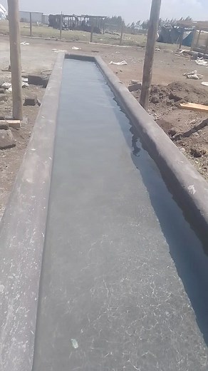 43K views · 641 reactions | Water provision in a feedlot facility...