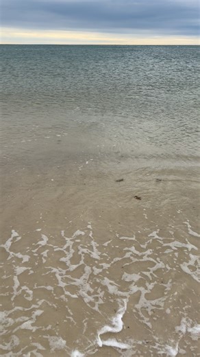 This video is for anyone saying my content is not from coastal Alabama or Florida’s Emerald Coast because the sand looks brown. Wet sand appears darker, and lighting plays a big role in how it looks on camera. Stop being weird. I have no reason to lie about video locations LOL. | All Things Emerald Coast