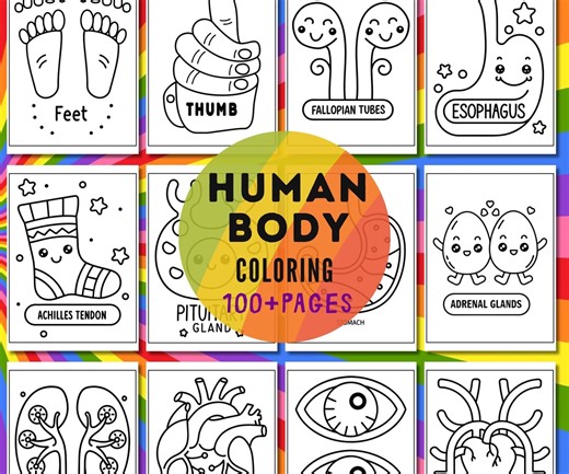 Human Body Organs Coloring Pages | Educational Anatomy Worksheets for Kids | Printable PDF & PNG - Etsy UK