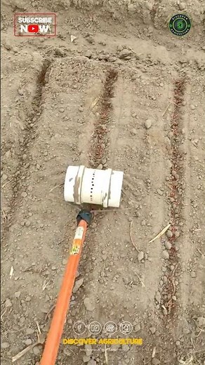 Simple & Effective DIY Seed Sowing Tool