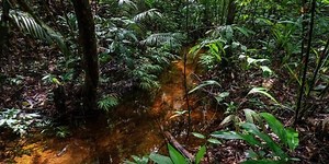 'Getting a handle' on a potent climate threat