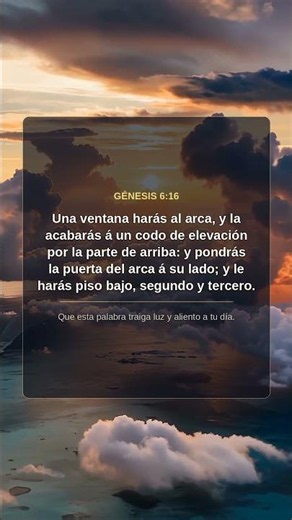 Diseñando con Propósito | Génesis 6:16 #shorts