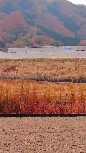 舟木一夫さん「山の彼方に」。滋賀県中山道、松尾寺山に来ました。テレビ映画「山のかなたに」は昭和41年松原智恵子さんと津川雅彦さん出演で長野県上田市がロケ地でした〜、もう一度見たいな〜