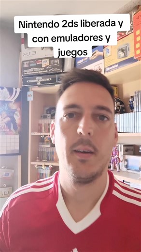 #Nintendo #nintendo2ds #hackconsolas #retrogaming #coleccionistagamer