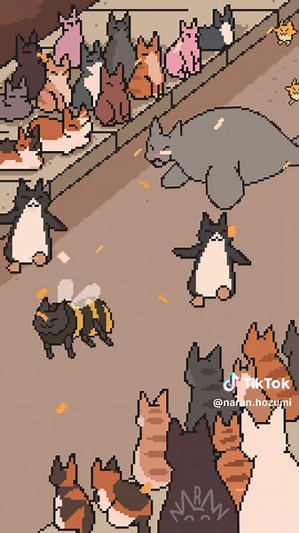 Divertidos gatos en TikTok: el desfile kawaii