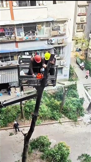 Aerial Tree Pruning: Hydraulic Lift and Team Coordination for Controlled Cutting 🌳