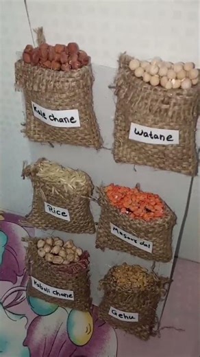 DIY Grains and Pulses sack for School project 😁 #music #ytshortsvideo