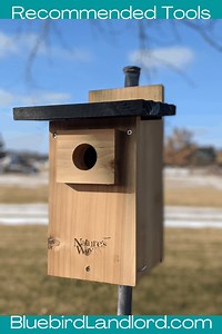 Recommended Tools - Bluebird Landlord