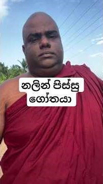 ‪@IRAJ‬ කාත් එක්කද හැප්පෙන්නේ #tiktok ‪@srilankacricket‬ ‪@talkwithrajangane‬ ‪@SudaaStudio‬