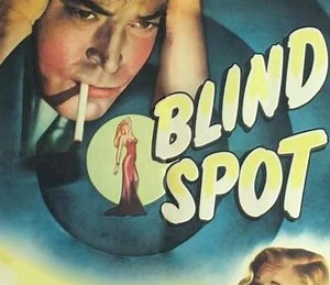 Blind Spot Summary, Trailer, Cast, Where to Watch and More