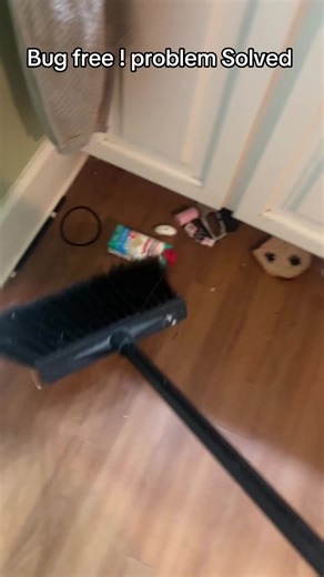 #pest #roaches #holidayhaul #tiktokmademebuyit #pestcontrol | roaches infestation solution