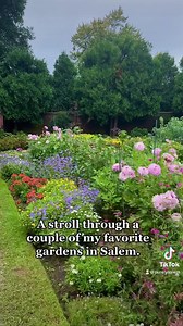 In honor of the first day of Spring, here’s a stroll through a couple of Salem’s most beautiful gardens; The Ropes Mansion garden and The House of the Seven Gables garden. Salem will look like this soon enough! ❤️ 🌸 #salemmassachusetts #spring #ropesmansion #thehouseofthesevengables | PurelySalem