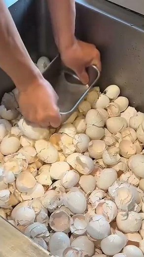 crushing egg shells has many benefits and can be used as fertilizer for plants