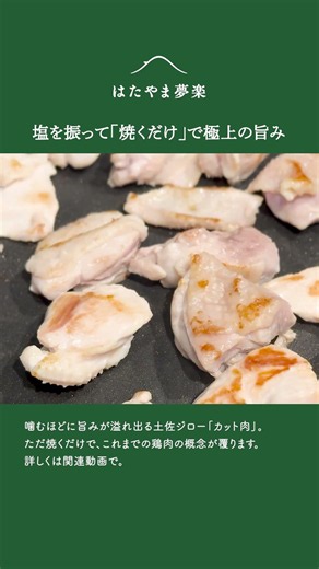【産地直送】簡単！塩を振って焼くだけ！ 旨みが溢れ出る土佐ジローのカット肉