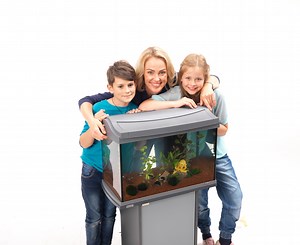 https://www.tetra.net/de/de/in-meinem-aquarium/aquarium-einrichten