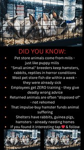 That hamster in the pet store has been through hell to end up in that tiny glass box. 🐹 Pet stores don't breed animals. They BUY them. From mills. Hamster mills. Rabbit mills. Reptile mills. Fish farms. Same horror as puppy mills. Same tiny cages. Same sick animals. Same suffering. The fish that died 3 days after you bought it? It was already dying. Ammonia burns. Parasites. Shipped in bags for days. The rabbit that "suddenly" died at 6 months? Genetic issues from inbreeding. Never had a chance