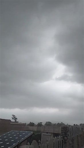 cid lover on TikTok