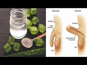 10 Surprising Health Benefits Of Aloe Vera | Aloe Vera Gel Uses For Men | Aloe Vera Health Benefits